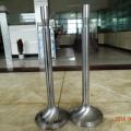 Intake&Exhaust Valve for Train with 4Cr9Si2