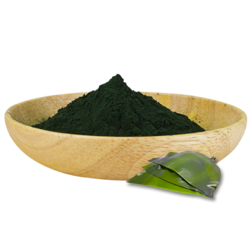 Supplément diététique vert naturel en poudre de spiruline