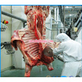 Slaughtering Line in Meat Processing in Poultry House