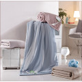 Canasin Washable Summer Air-condition Duvet