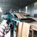 High Quality Biomass Roller Veneer Dryers Machine