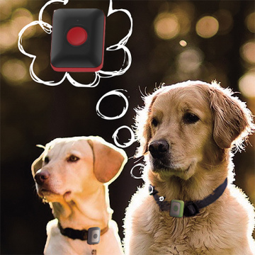 4G Smart Pet Woll GPS + Wi-Fi + LBS