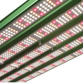 Luz de cultivo de planta LED de flores de 1000 vatios al espectro completo