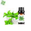 Pure natural organic wild peppermint essential oil