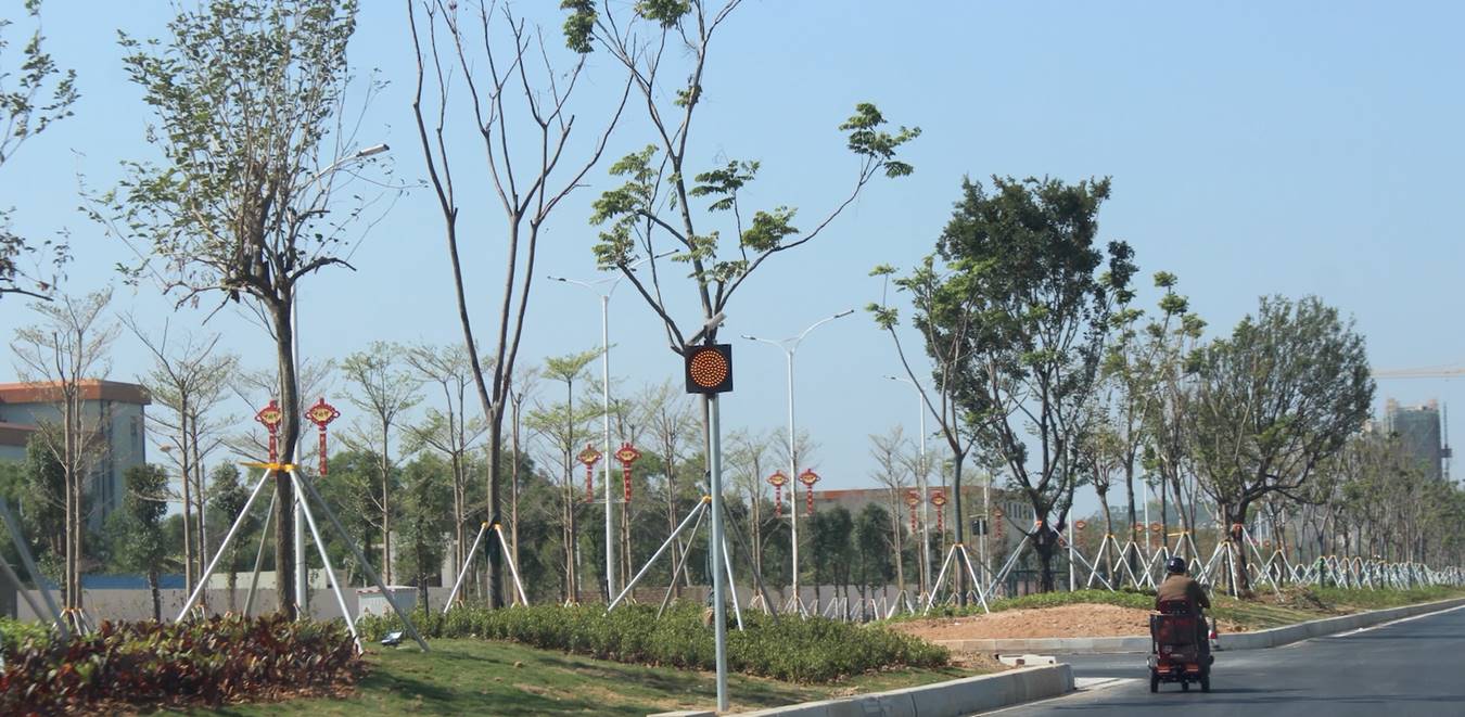 300mm solar traffic light