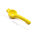 Colorful Painting Lemon Squeezer