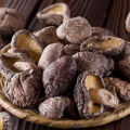 Wholesale Dried Mushrooms At Low Prices