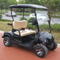 2 seats electric golf carts for sale