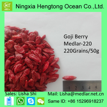 Antioxidantes Longevidade Superfood Goji Berry