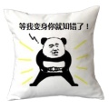 Chinese style panda bear sofa cushions