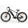 FH500 vollgefedertes E-Bike mit Fettreifen