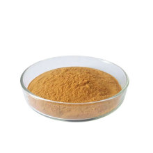 organic shiitake mushroom extract powder fruiting body