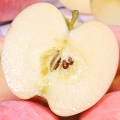 Blush red full color fuji apple