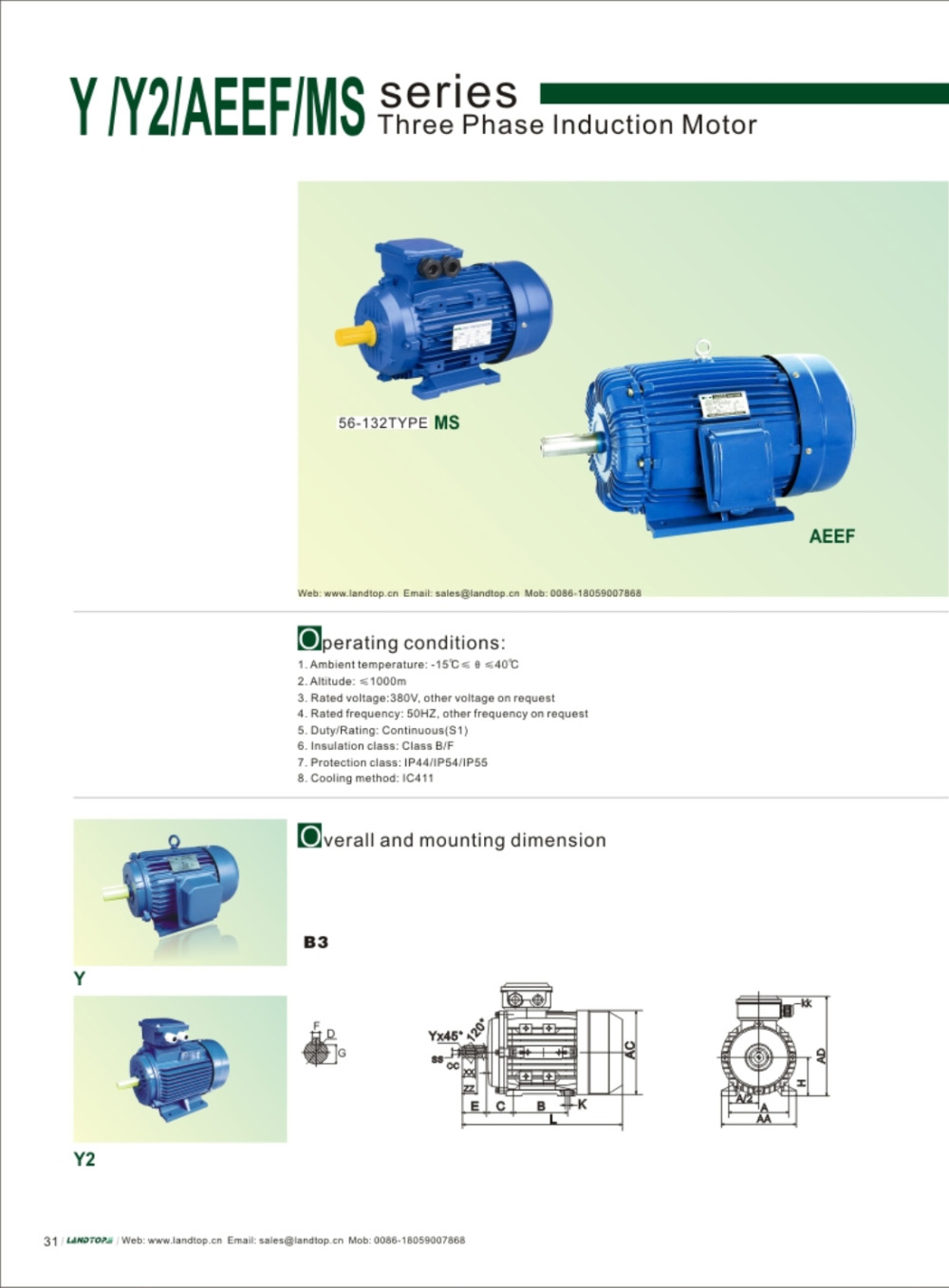 Three Phase Motor 