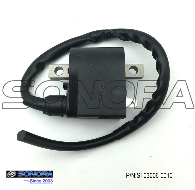 Suzuki AX100 Ignition Coil