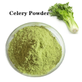 Celery Powder Food Grade Raw Material Factory Wholesale