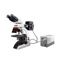 Bestscope BS-2072fb Fluorescent Biological Microscope