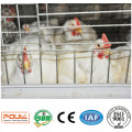 Bester Preis Galvanisierter Broiler Chicken Cage Battery Cage