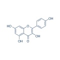 Kaempferol 520-18-3