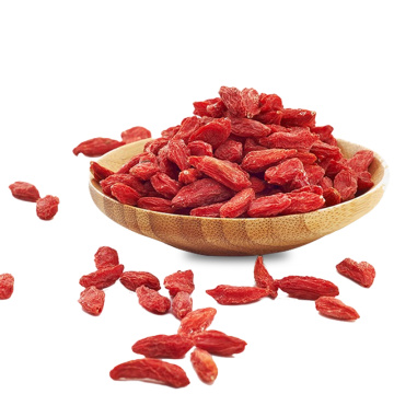 Organic Dried Goji Berry Dried Fruit