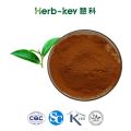 Green Tea Extract, Tea Polyphenol, EGCG, Catechins