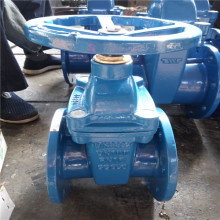 Pn16 Resilient Seated Gate Valve F4/F5