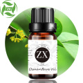 Premium 100% pure Natural bulk osmanthus essential oil