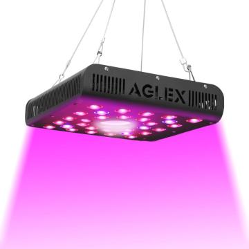 600W LED rouge / bleu élèvent la lumière pour plante d&#39;intérieur