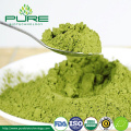 Ceremonial Matcha Certified Organic Matcha Tea Powder