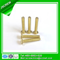 Brass Patinted Knurled Head Phillips Screw