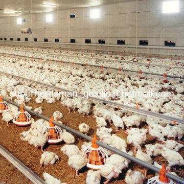 Automatic Complete Set Poultry Equipment for Poultry Farm House