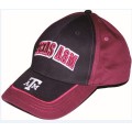 12 colors 8 heads head cap and tubular embroidery machine