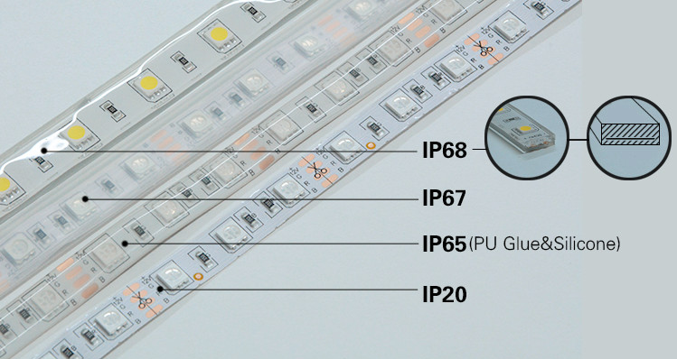 ip strip