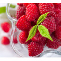 Raspberry Ketone / P-Hydroxyphenyl Butanone