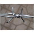 Galvanized Iron Barbed Wire in Electro and Hot-Dipped