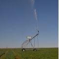 Cross body structure, spray irrigation diameter up to 1200 meters, with closed moisture-proof motor sprinkler