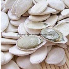 High Quanilty China Snow White Pumpkin Seed