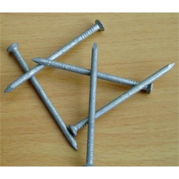 Hot Dipped Galvanized Common Nail