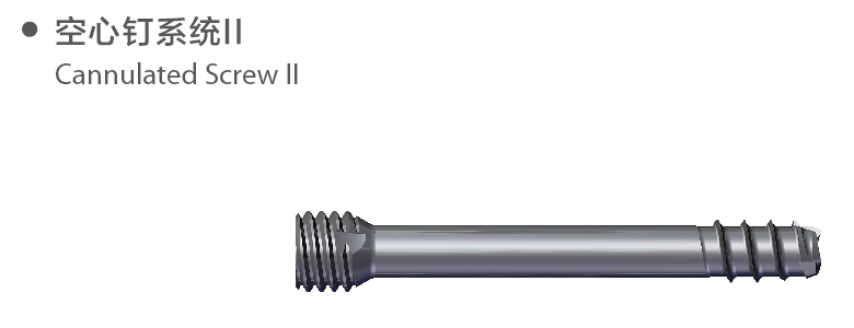 47_cannulated screw 2