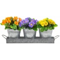 Planter Pots Great For Windowsill Planter