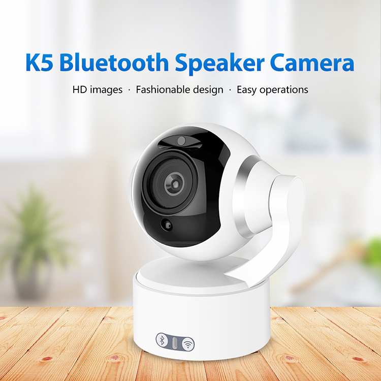 Portable Ip Camera