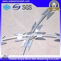 Hot Dipped Galvanizado Razor Wire e Acordeão Duplo Fio