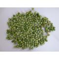 Factory producing AD green garden peas