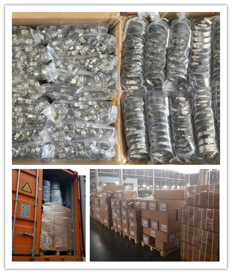 Hose Clamp Packing