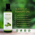 Aceite de tamanu orgánico natural al por mayor para cosmético sue