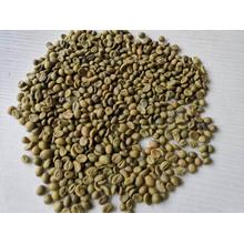 Robusta Green Coffee Bean en venta