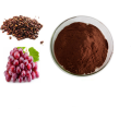Approvisionnement en extrait de fruit biologique OPC Extrait de pépins de raisin