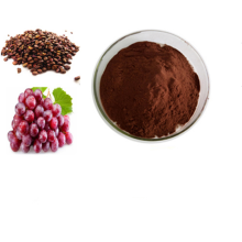 Supply Fruit Extract Organic OPC Grape Seed Extract