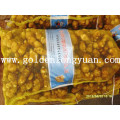 Fresh Ginger Good Quality in Mesh Bag