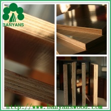 1220*2440mm/1250*2500mm Melamine Paper Faced Plywood with Competitive Price